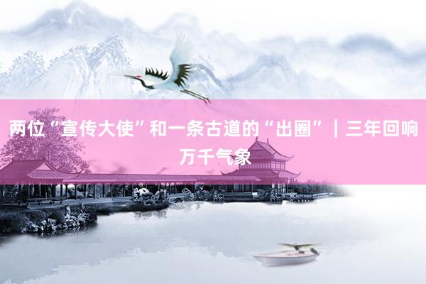 两位“宣传大使”和一条古道的“出圈”｜三年回响 万千气象