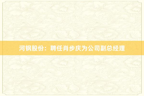 河钢股份：聘任肖步庆为公司副总经理