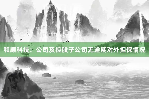 和顺科技：公司及控股子公司无逾期对外担保情况