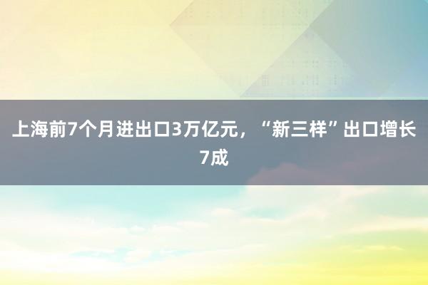 上海前7个月进出口3万亿元，“新三样”出口增长7成