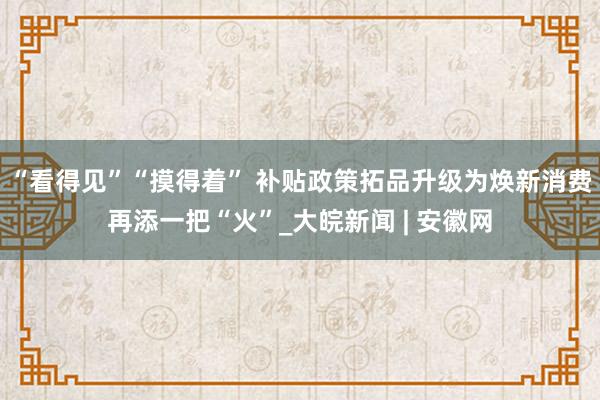 “看得见”“摸得着” 补贴政策拓品升级为焕新消费再添一把“火”_大皖新闻 | 安徽网