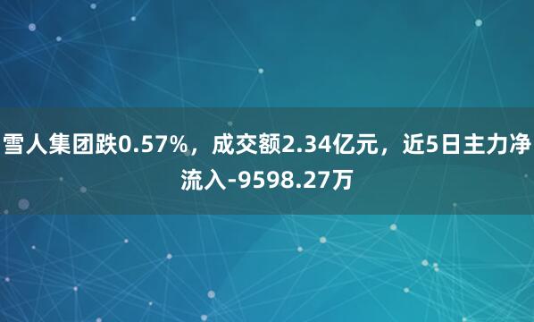 雪人集团跌0.57%，成交额2.34亿元，近5日主力净流入-9598.27万