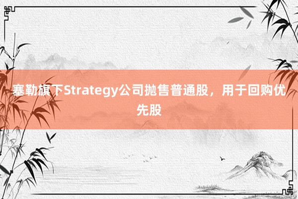塞勒旗下Strategy公司抛售普通股，用于回购优先股