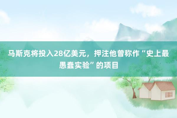 马斯克将投入28亿美元，押注他曾称作“史上最愚蠢实验”的项目