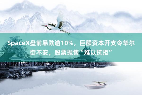 SpaceX盘前暴跌逾10%，巨额资本开支令华尔街不安，股票抛售“难以抗拒”