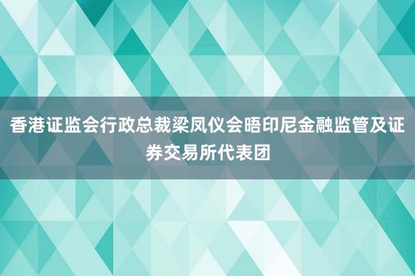 香港证监会行政总裁梁凤仪会晤印尼金融监管及证券交易所代表团