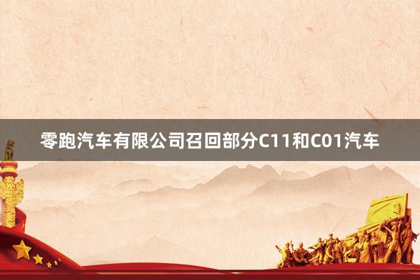 零跑汽车有限公司召回部分C11和C01汽车