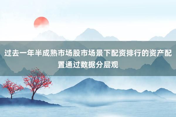 过去一年半成熟市场股市场景下配资排行的资产配置通过数据分层观