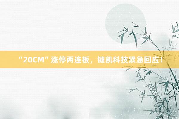“20CM”涨停两连板，键凯科技紧急回应！