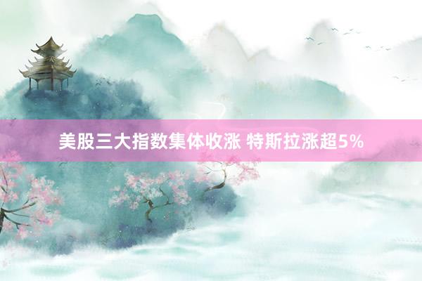 美股三大指数集体收涨 特斯拉涨超5%