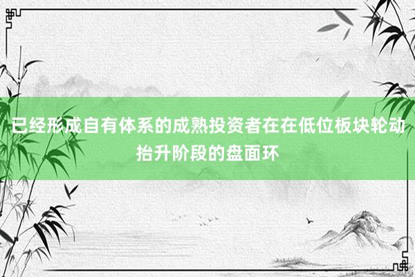 已经形成自有体系的成熟投资者在在低位板块轮动抬升阶段的盘面环