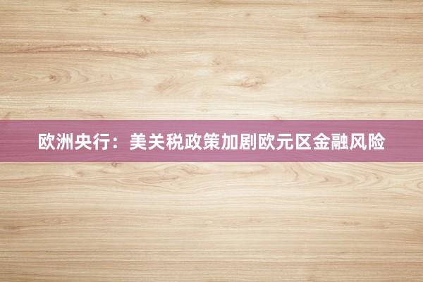 欧洲央行：美关税政策加剧欧元区金融风险