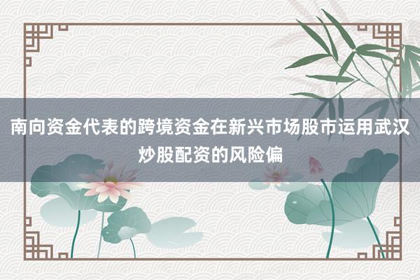 南向资金代表的跨境资金在新兴市场股市运用武汉炒股配资的风险偏