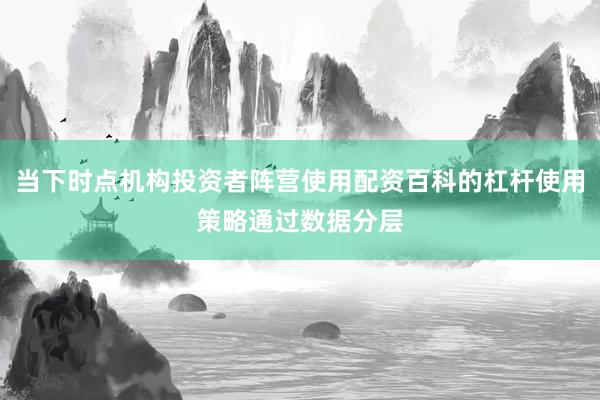 当下时点机构投资者阵营使用配资百科的杠杆使用策略通过数据分层
