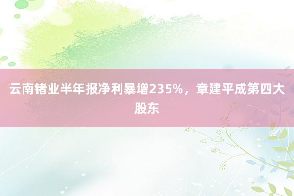 云南锗业半年报净利暴增235%，章建平成第四大股东