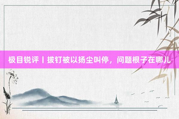 极目锐评丨拔钉被以扬尘叫停，问题根子在哪儿
