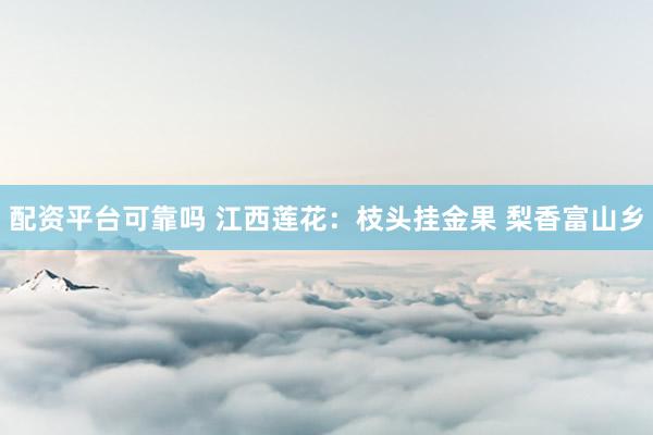 配资平台可靠吗 江西莲花：枝头挂金果 梨香富山乡