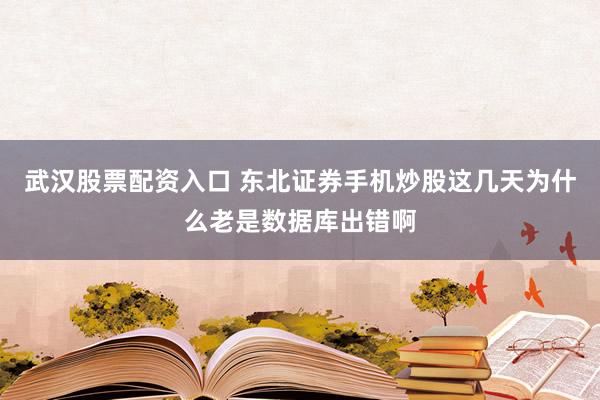 武汉股票配资入口 东北证券手机炒股这几天为什么老是数据库出错啊