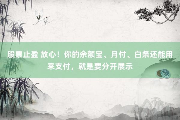 股票止盈 放心!你的余额宝、月付、白条还能用来支付,就是要分开展示