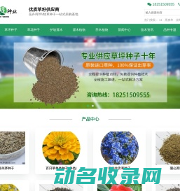 进口草坪种子批发供应商
