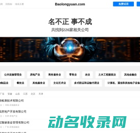 宝龙源有限公司